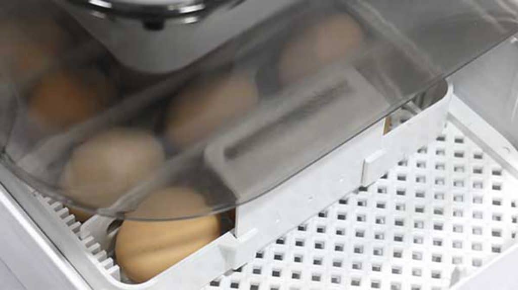 سیستم چرخش تخم‌ها در دستگاه جوجه کشی 12 تایی حرفه ای ایزی باتور 6